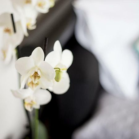 "Sea View"Loft Appartement Vila do Conde Buitenkant foto